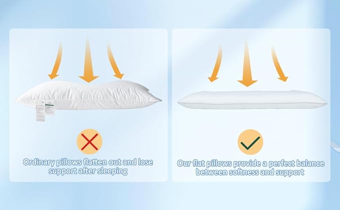 SWTMERRY Flat Pillows 2 Pack for Sleeping,Ultra Thin Bed Pillows Standard Size for Stomach and Side Sleeper 7D High Support 2.5 inch Height Slim Bed Pillow