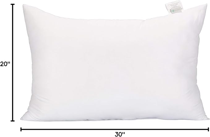 Acanva Fluffy Pillow Insert for Bed Sleeping, Decorative Stuffer Cushion Sham Filler, Queen 20x30 (Pack of 1), White