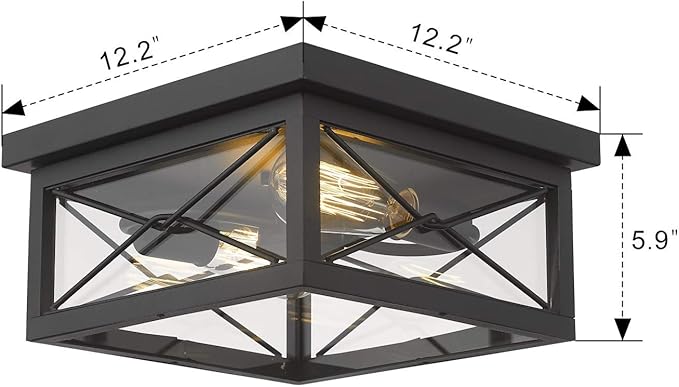 Emliviar 12 Inch Ceiling Light Fixture, 2-Light Flush Mount Ceiling Light in Black Finish, 0387B-CL BK