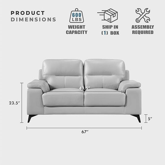 Lexicon Leather Loveseat Sofa, Modern Couch Sofa, Oversized Loveseat, Top Grain Leather Couch for Living Room, Bedroom, Office, Apartment, 2-Seater Loveseat, Silver Gray