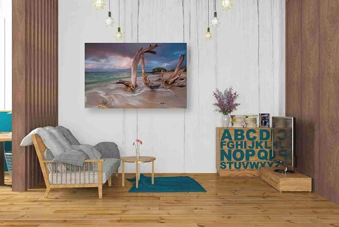 Epic Graffiti 'Driftwood Sunset' by Katherine Gendreau, Canvas Wall Art, 40"x26"