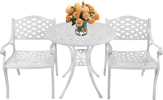 Cast Aluminum Patio Chairs of 2, Outdoor Dining Chairs Set, Aluminum Patio Chairs with Armrest for Garden, Backyard, Poolside, Balcony