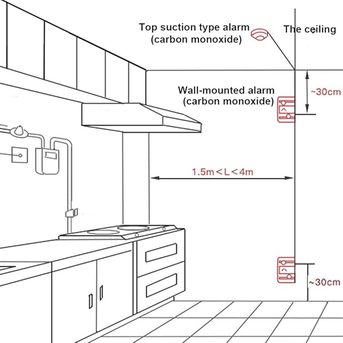 Carbon Monoxide Detector,Portable Smart CO Alarm with LCD Display and Sound Warning,CO Monitor Alarm Detector for Home、RV,Battery Powered