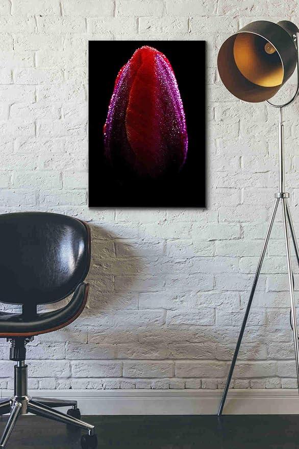 Epic Graffiti 'Wet' by Darren White, Canvas Wall Art, 18"x26"
