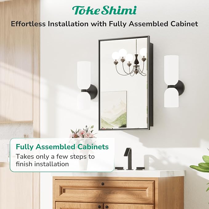 TokeShimi 48x30 Medicine Cabinet Mirror Bathroom Vanity Black Metal Framed Recessed or Surface Mounted Medicine Cabinet with Beveled Mirror with Storage Aluminum for Modern Farmhouse