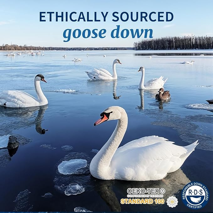 Canadian Luxury Goose Down Pillow Standard Size, 750 Fill Power, 100% Cotton with Teflon Shell- Ultra Comfort Sleep Pillows - Bed Pillows for Back, Stomach(White,Standard(Pack of 2))