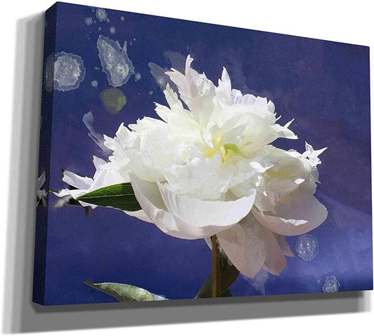 Epic Graffiti 'White Peony-Scents of Heaven' by Irena Orlov, Canvas Wall Art, 54"x40"