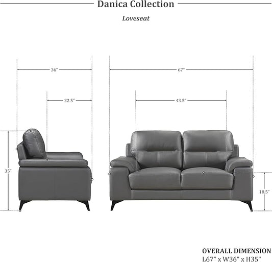 Lexicon Danica Top Grain Leather 2-Piece Living Room Sofa Set, Dark Gray