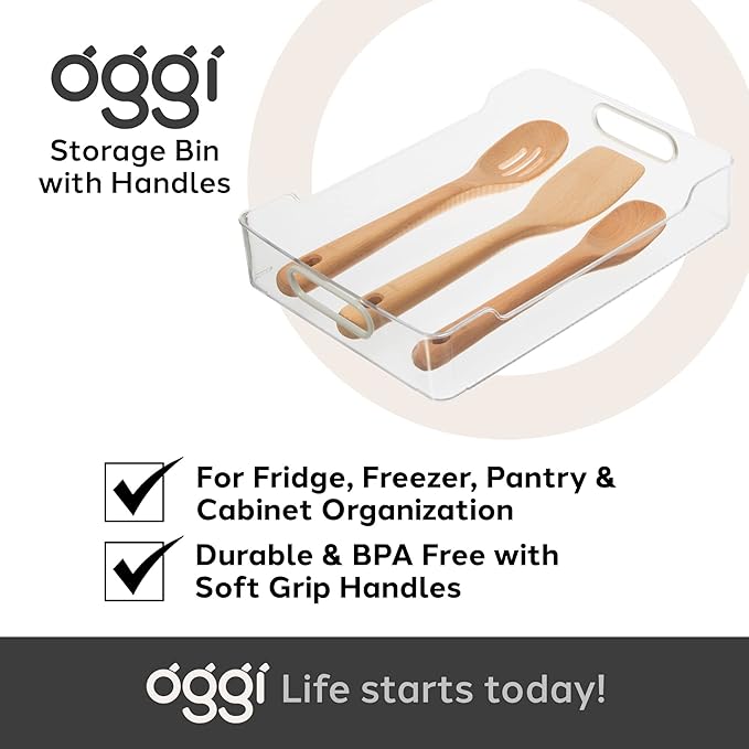 Oggi Cabinet / Drawer Storage Bin (14" x 9.75" x 2.75")