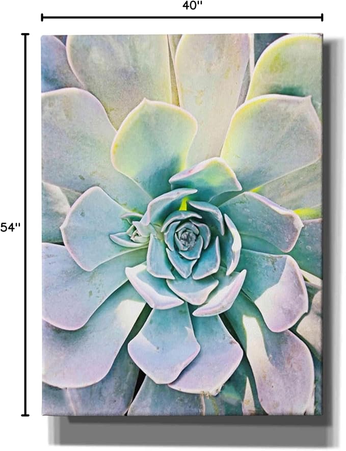 Epic Graffiti 'Unique Succulent' by Irena Orlov, Canvas Wall Art, 40"x54"