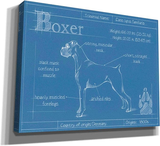 Epic Graffiti 'Blueprint Boxer' by Ethan Harper Canvas Wall Art, 16"x12"