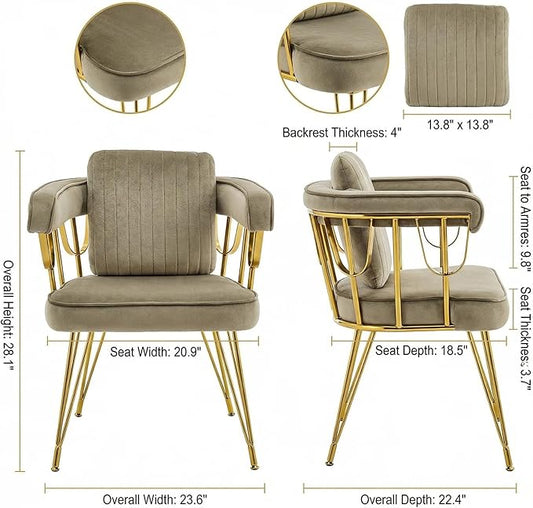 Makeup Vanity Chair with Gold Back No Wheels, Accent Velvet Desk Chairs with Extra Lumbar Pillow for Girls Bedroom Dressing Room Nail Salon Living Room, Greyish Brown