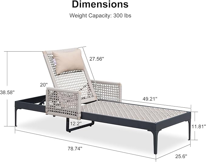 PURPLE LEAF 3 Pieces Outdoor Chaise Lounge Set Rattan Wicker Lounger with Arms Poolside Furniture Adjustable Recliners Patio Lounge Chairs for Beach Yard Garden Balcony, Dark Grey