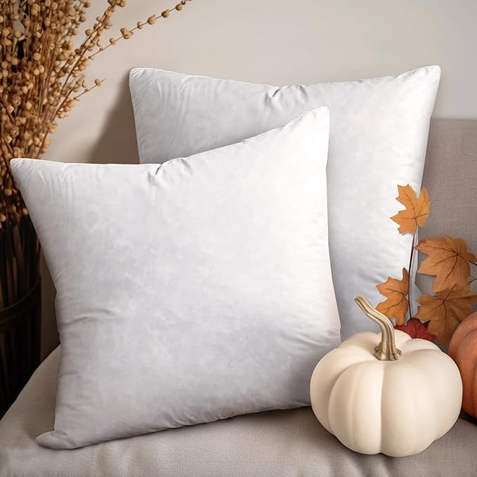 Blue Ridge Home Fashions Feather Down Pillow Square Euro Size Set of 2 Pack Customized Halloween/Christmas Decorations Throw Pillow for Livingroon/Bedroom
