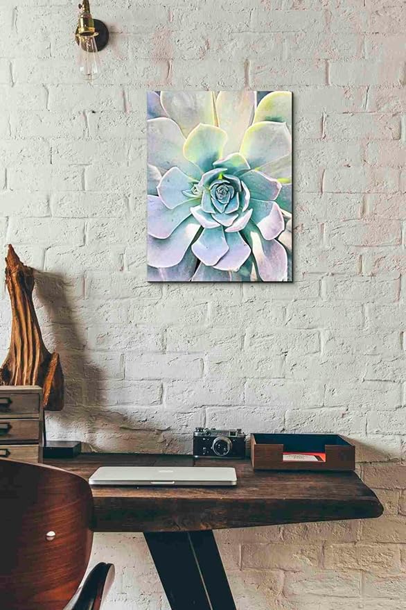 Epic Graffiti 'Unique Succulent' by Irena Orlov, Canvas Wall Art, 12"x16"