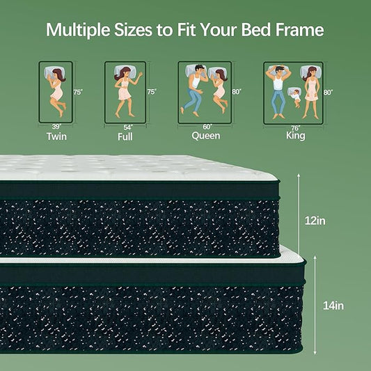 14 inch Queen Mattress,Hybrid Mattress in a Box,Queen Size Gel Memory Foam Mattress Individually Pocket Springs Pressure Relief & Motion Isolation CertiPUR-US Certified,Green