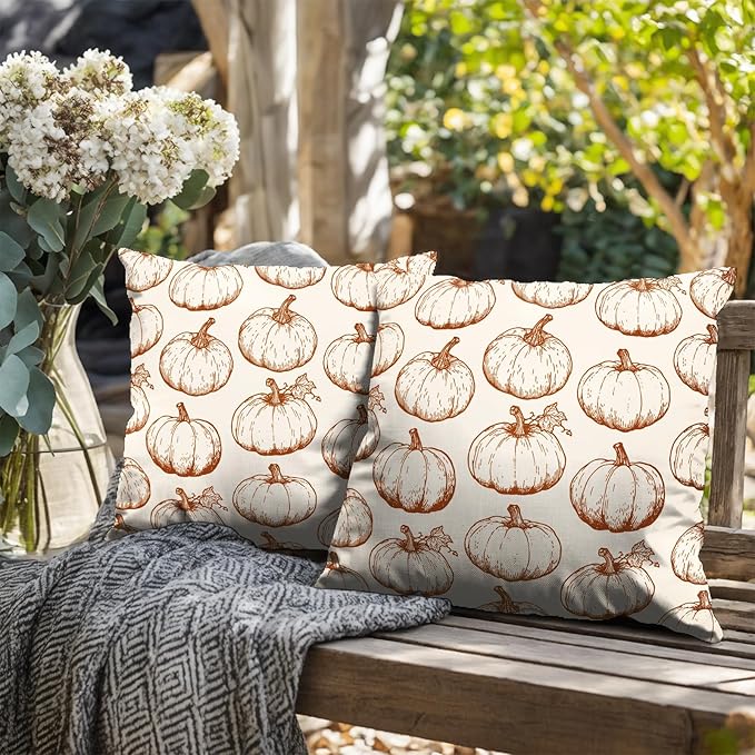 Fall Pumpkin Outdoor Pillow Covers 18x18 Set of 2 Autumn Thanksgiving Harvest Throw Pillows Case Burnt Orange White Farmhouse Fall Holiday Cushion Covers for Sofa Couch Bed Decor