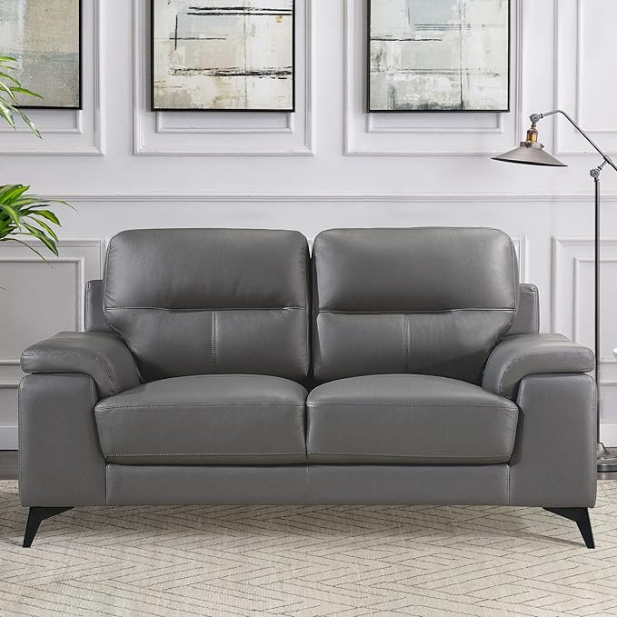 Lexicon Leather Loveseat Sofa, Modern Couch Sofa, Oversized Loveseat, Top Grain Leather Couch for Living Room, Bedroom, Office, Apartment, 2-Seater Loveseat, Dark Gray