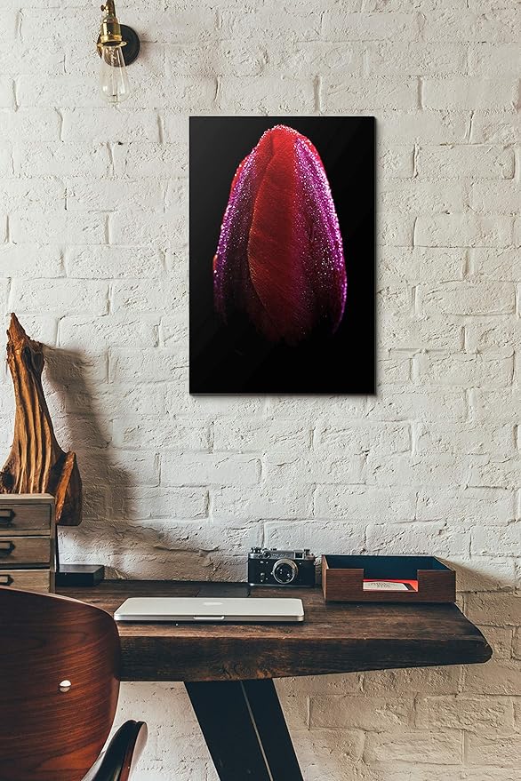 Epic Graffiti 'Wet' by Darren White, Canvas Wall Art, 12" x 16"