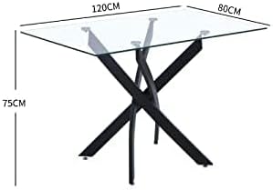 Tempered Glass Dining Table with Black Metal Legs, 47" Modern Rectangular Kitchen Table for Dining Room Kitchen (47.24" * 31.5", Black)