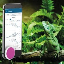 Disc Maxi Wireless Thermometer, Hygrometer, Barometric Pressure and Dew Point Sensor and Data Logger with Monitoring in App on iOS/Android Smartphones, USA Made, Fast/Accurate Data Export
