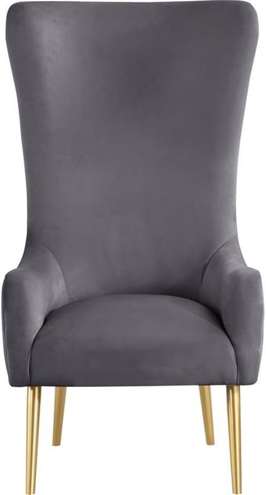 Meridian Furniture 536Grey Alexander Collection Modern | Contemporary Velvet Upholstered Accent Chair with Sturdy Gold Metal Legs and Deep Button Tufting on Back, 27" W x 33" D x 51" H