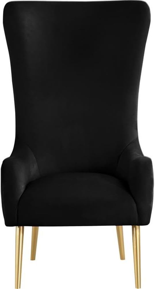 Meridian Furniture 536Black Alexander Collection Modern | Contemporary Velvet Upholstered Accent Chair with Sturdy Gold Metal Legs and Deep Button Tufting on Back, 27" W x 33" D x 51" H