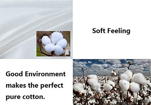 Natural Goose Down&Feather Pair Hotel Pillows Insert for Side and Back Sleepers, Set of 2 Bedding Soft Pillows 100% Soft Cotton Standard 20x26in