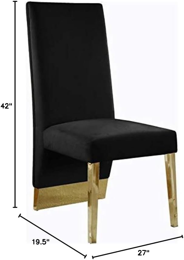 Meridian Furniture Porsha Collection Modern | Contemporary Dining Chair with Deep Channel Tufted Back and Sturdy Metal Legs, Set of 2, 19.5" W x 27" D x 42" H, Black Velvet Upholstered