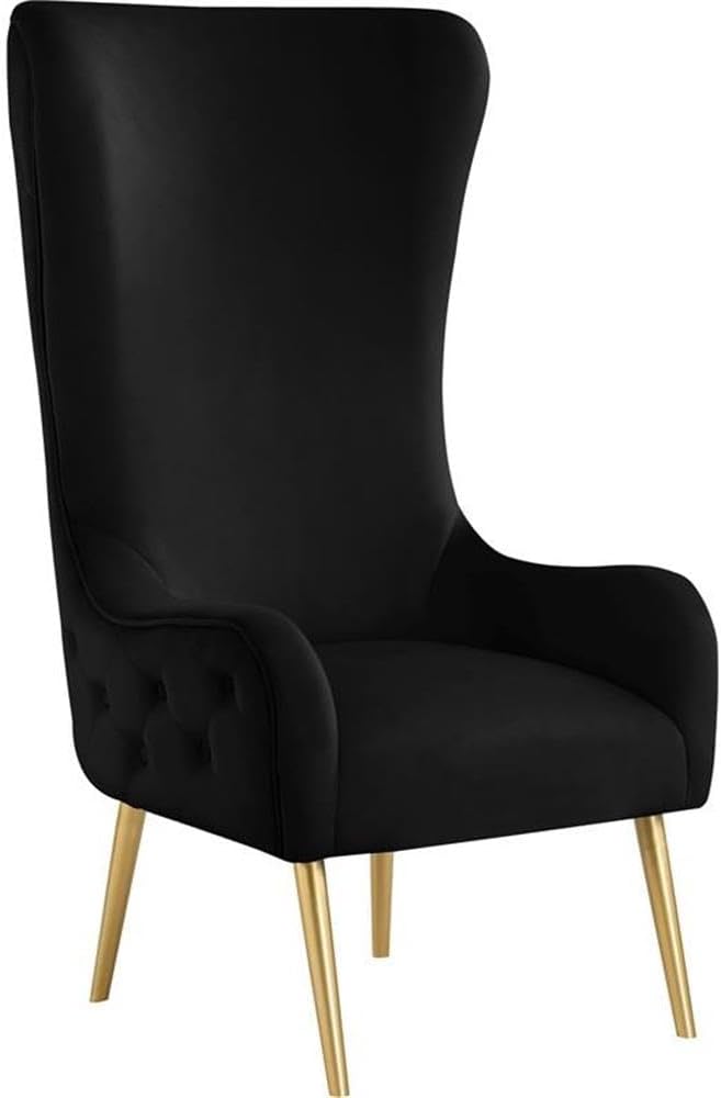 Meridian Furniture 536Black Alexander Collection Modern | Contemporary Velvet Upholstered Accent Chair with Sturdy Gold Metal Legs and Deep Button Tufting on Back, 27" W x 33" D x 51" H