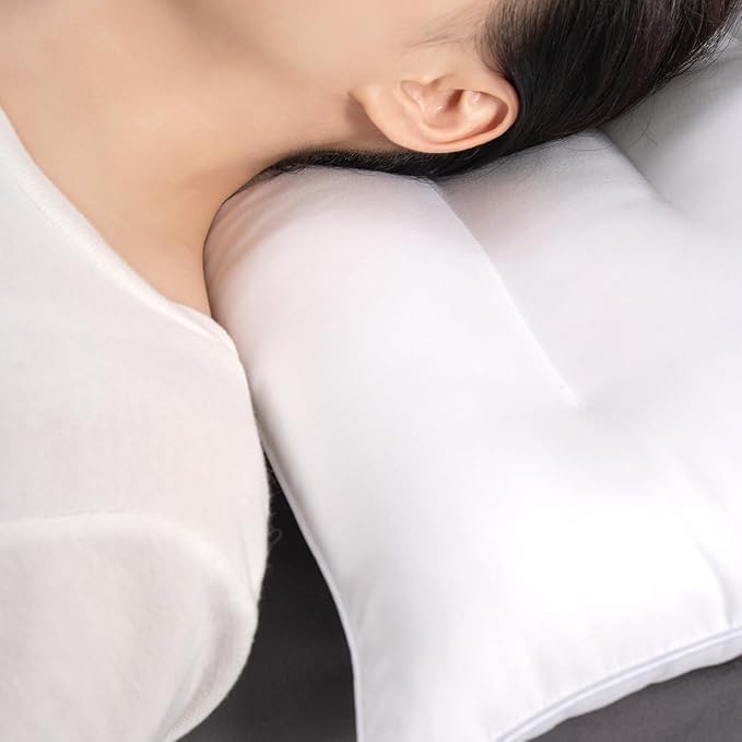 Pozino Flat Thin Pillows for Sleeping - Queen Size 1 Pack Slim Bed Pillows for Side Back Stomach Sleepers,2.5 inch Height Ultra Low Pillows,Down Alternative Filling