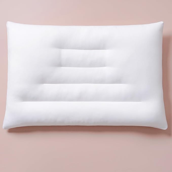 Pozino Flat Thin Pillows for Sleeping - 2 Pack Queen Size Slim Bed Pillows for Side Back Stomach Sleepers,2.5 inch Height Ultra Low Pillows,Down Alternative Filling