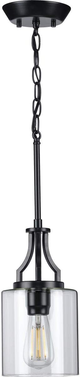 Progress Lighting Lassiter Collection 1-Light Clear Glass Modern Pendant Light Matte Black