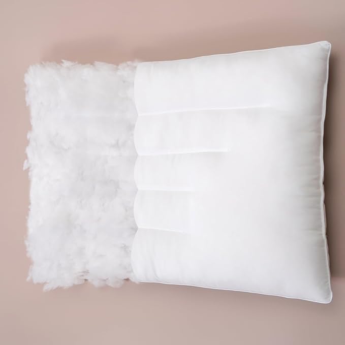 Pozino Flat Thin Pillows for Sleeping - 2 Pack Queen Size Slim Bed Pillows for Side Back Stomach Sleepers,2.5 inch Height Ultra Low Pillows,Down Alternative Filling