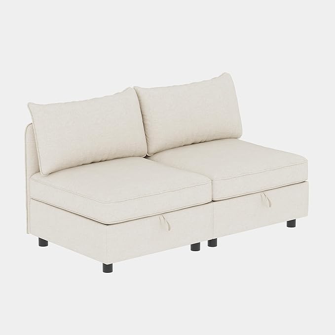 ERYE 68-Inch Loveseat Modular Sofa Deep Seat Storage Sectional Sofa Couch with Free Combination Backrests and Armrests,2 Seat Chenille Upholstered Love Seat Couch for Living Room Bedroom Office | Space Saving