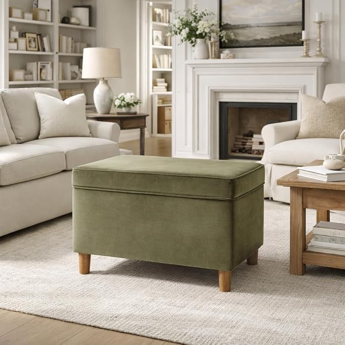 Spatial Order Home Decor | Dinah Collection Modern Storage Ottoman | Ottoman with Storage for Living Room & Bedroom(Light Sage Green Velvet)