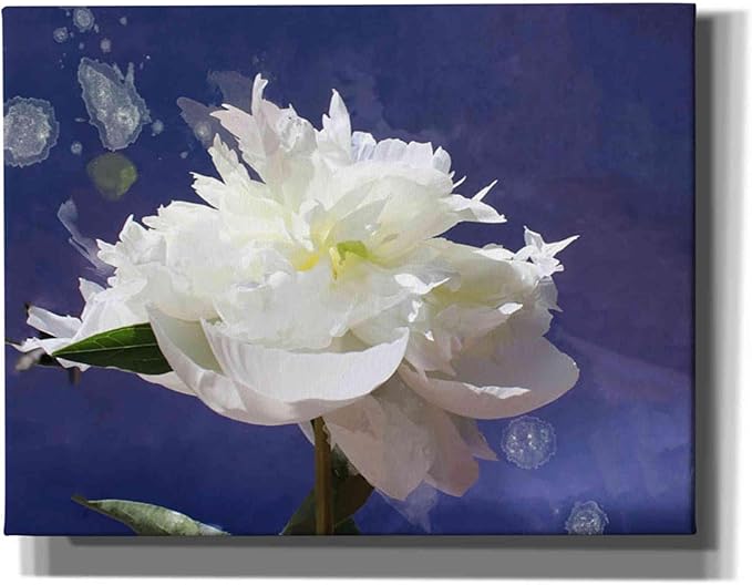 Epic Graffiti 'White Peony-Scents of Heaven' by Irena Orlov, Canvas Wall Art, 34"x26"