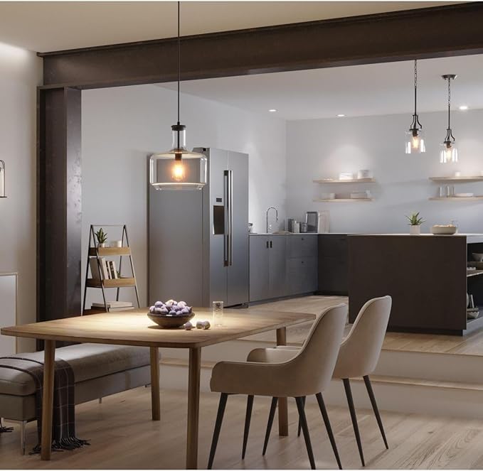 Progress Lighting Lassiter Collection 1-Light Clear Glass Modern Pendant Light Matte Black