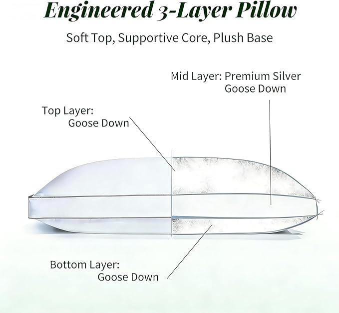 Goose Down Pillows, Standard Size Set of 2 with 3-Layer Design, Hotel Down Bed Pillow for Side, Back, and Stomach Sleepers, Soft 600 Thread Count Cotton Cover–Luxury Hotel Pillows Quality(20" x 26")