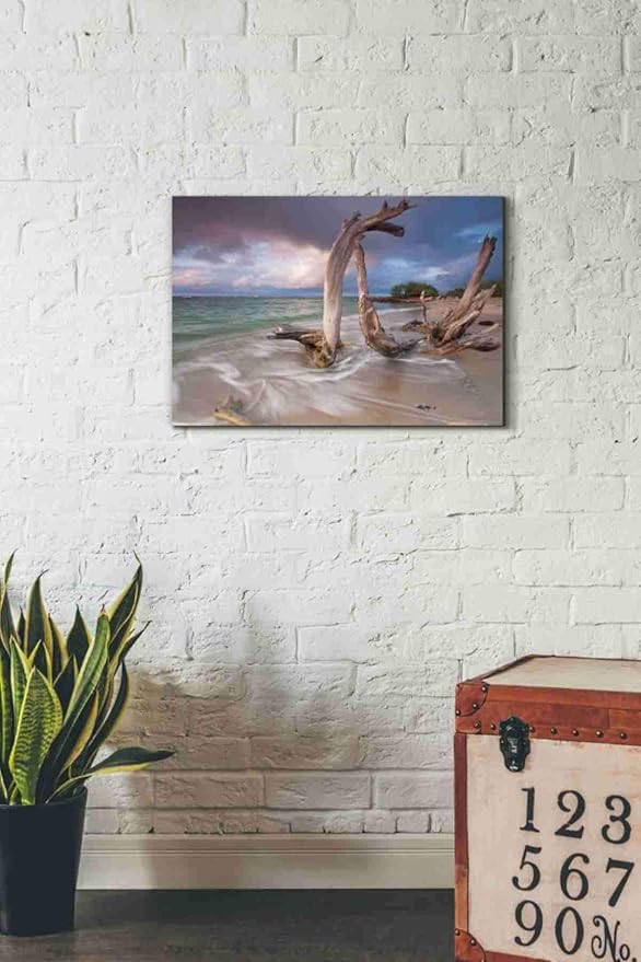 Epic Graffiti 'Driftwood Sunset' by Katherine Gendreau, Canvas Wall Art, 26"x18"