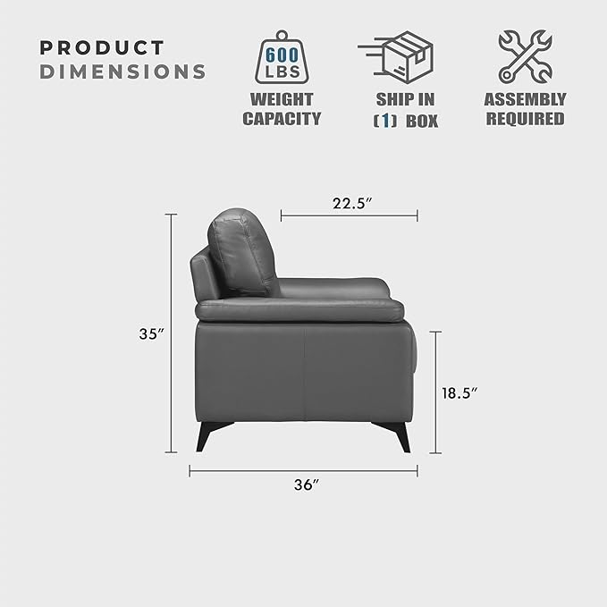 Lexicon Leather Loveseat Sofa, Modern Couch Sofa, Oversized Loveseat, Top Grain Leather Couch for Living Room, Bedroom, Office, Apartment, 2-Seater Loveseat, Dark Gray