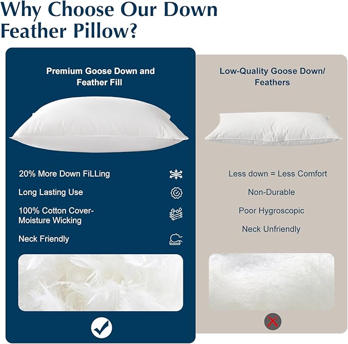 Luxury Goose Feather Down Pillows Queen Size Set of 2, 3-Chamber 5 Star Hotel Pillow for Deep Sleep, Soft Bed Pillows for Neck Pain Relief, Perfect for Side Sleeper, 100% Cotton Shell(2 Pack,20"x30")