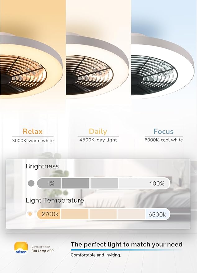 Orison Ceiling Fans with Lights, Low Profile Ceiling Fan with Lights and Remote, 6 Wind Speeds Smart Flush Mount Ceiling Fan for Bedroom, Kids Room and Living Room 19.7" (Black)