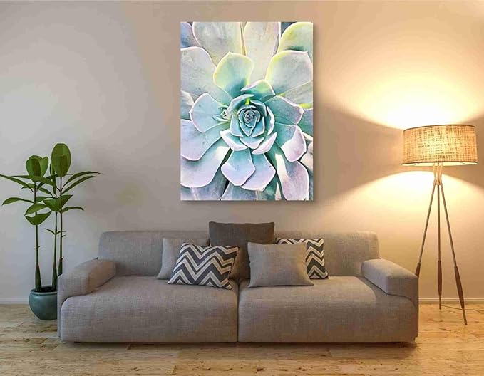 Epic Graffiti 'Unique Succulent' by Irena Orlov, Canvas Wall Art, 40"x54"