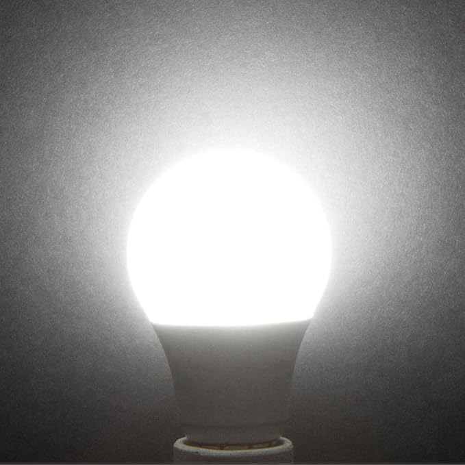 Simba Lighting LED Outdoor Light Bulbs with Photocell Sensor Dusk to Dawn Smart Auto On and Off (2 Pack) A19 6W 40W Replacement for Porch, Night Light, Garage Door, E26 Medium Base, 5000K Daylight