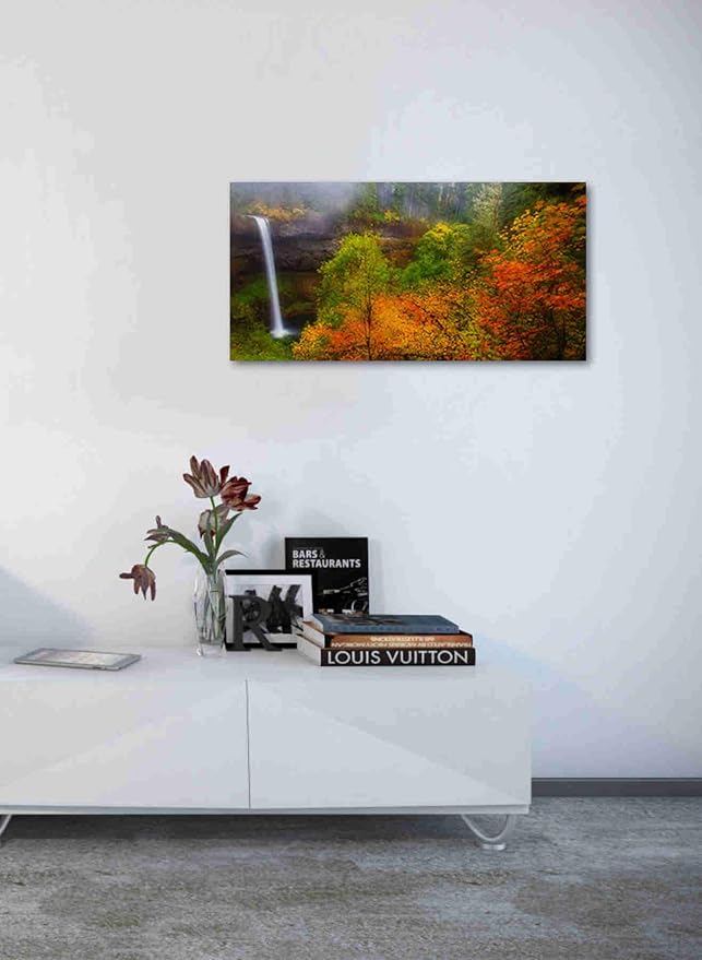Epic Graffiti 'Silver Falls' by Darren White, Canvas Wall Art, 20"x40"