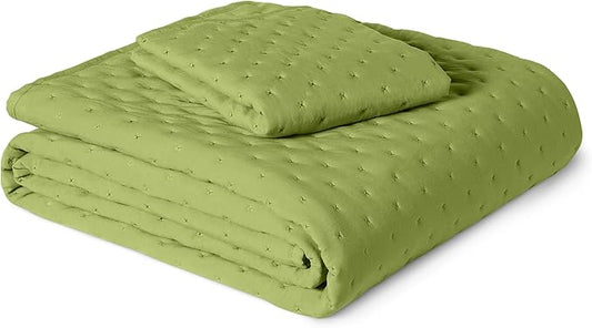 Amazon Basics Brushed Microfiber Quilt Set, Extra Soft with Natural Texture, 2-Piece, Twin/Twin XL, Green
