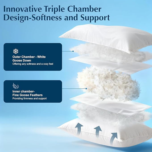 Luxury Goose Feather Down Pillows Queen Size Set of 2, 3-Chamber 5 Star Hotel Pillow for Deep Sleep, Soft Bed Pillows for Neck Pain Relief, Perfect for Side Sleeper, 100% Cotton Shell(2 Pack,20"x30")