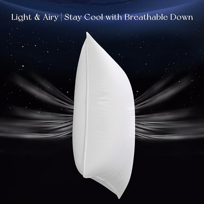 Luxury Down Pillow Queen, Hotel Quality Bed Pillows for Sleeping, 3-Chamber Premium Down Pillow Fluffy Soft for Side, Back Sleepers, 400 Count Cotton Shell, 1 Pack, 20"x30"