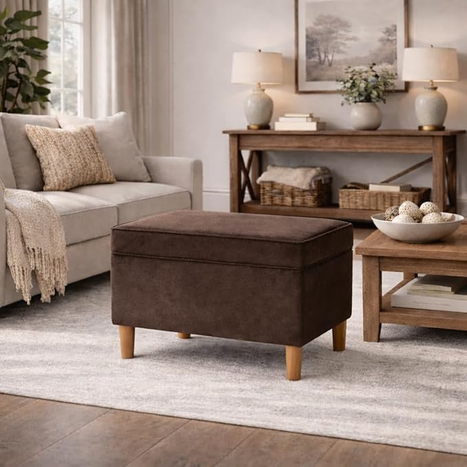 Spatial Order Home Decor | Dinah Collection Modern Storage Ottoman | Ottoman with Storage for Living Room & Bedroom(Chocolate Brown Velvet)